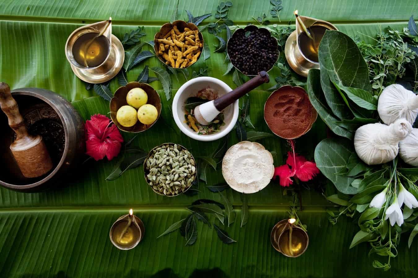 Ayurvedic-Herbs